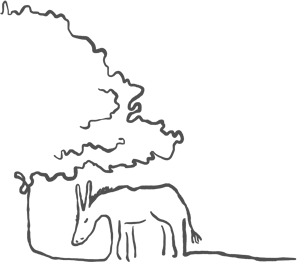 Logo de l'asinerie des combes, fabrication artisanale de savons bio, produits cosmétiques bio, jus de fruit bio et noix bio à Saint-Bonnet de Valclérieux près de Romans-sur-Isère en Drôme/Isère