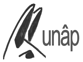 Logo de UNAP