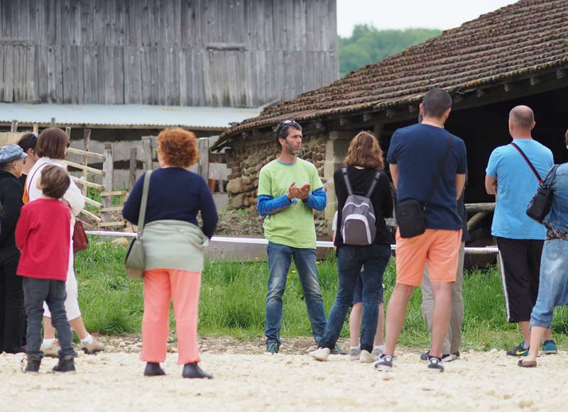 Animation par l'asinerie des combes - Ô lait d'anesse, lors de la manifestation de ferme en ferme