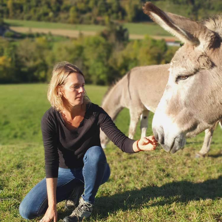 Médiation animale à l'asinerie des Combes, Saint-Bonnet-de-Valclérieux, Drôme 26