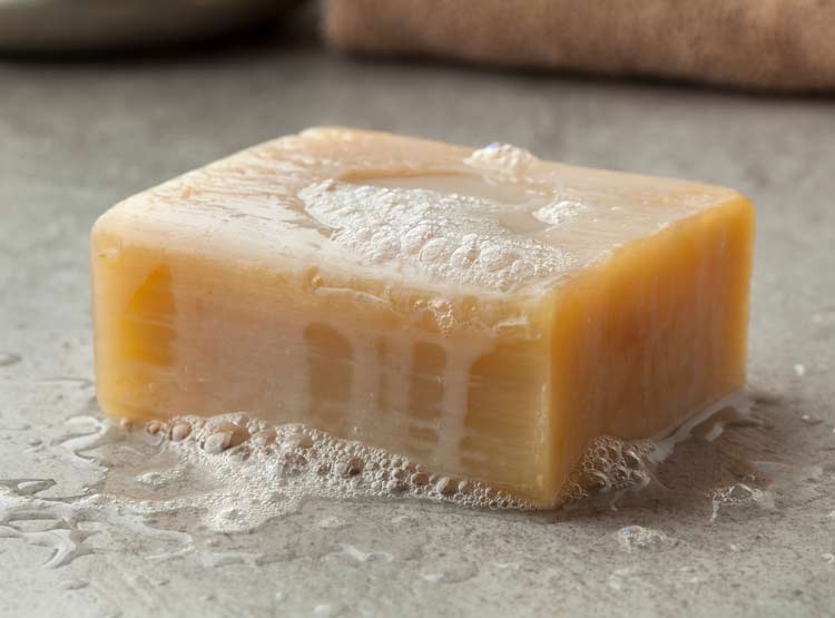 Savon bio au lait d'ânesse